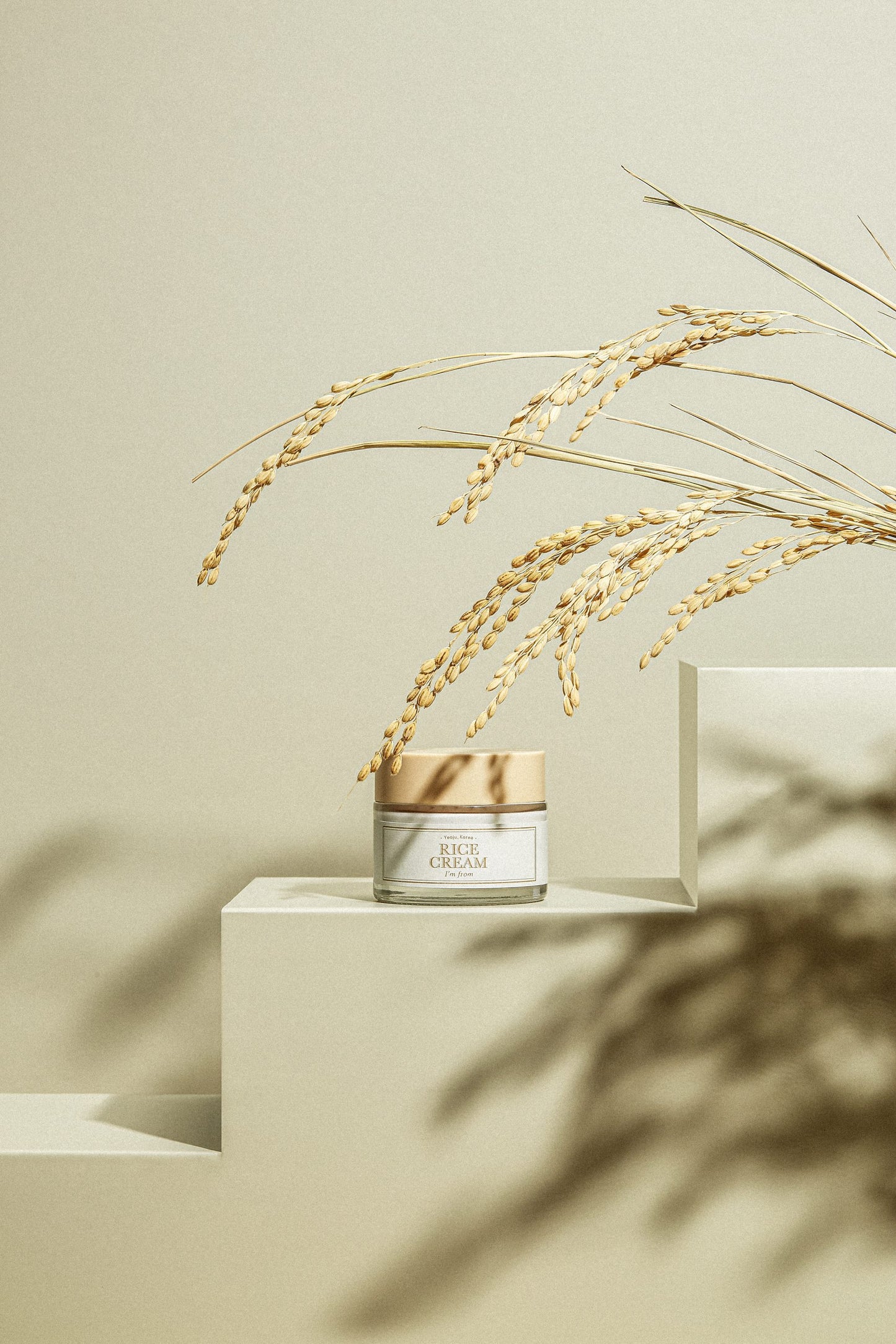 I'M FROM Rice Cream fuktighetskrem med risekstrakt og ceramider