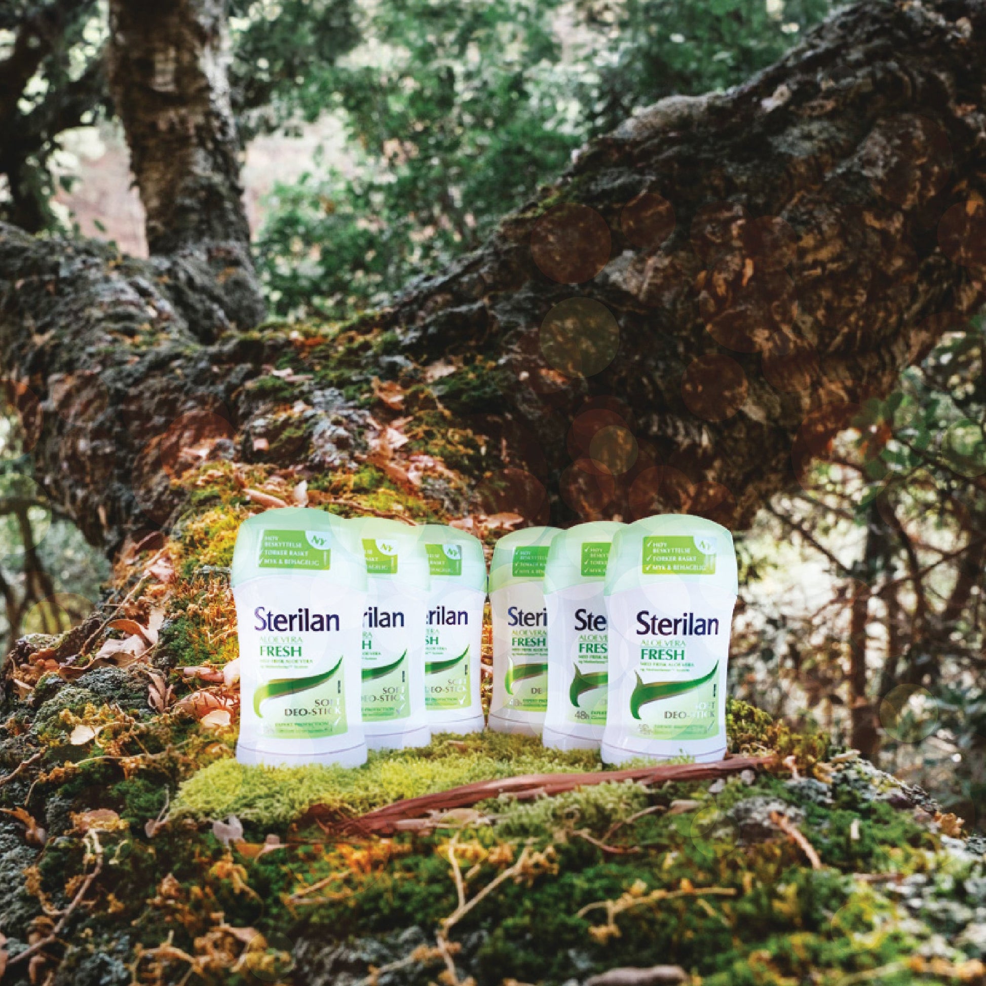 Sterilan Aloe Vera 6‑pakning Deo Stick med 48 timers beskyttelse