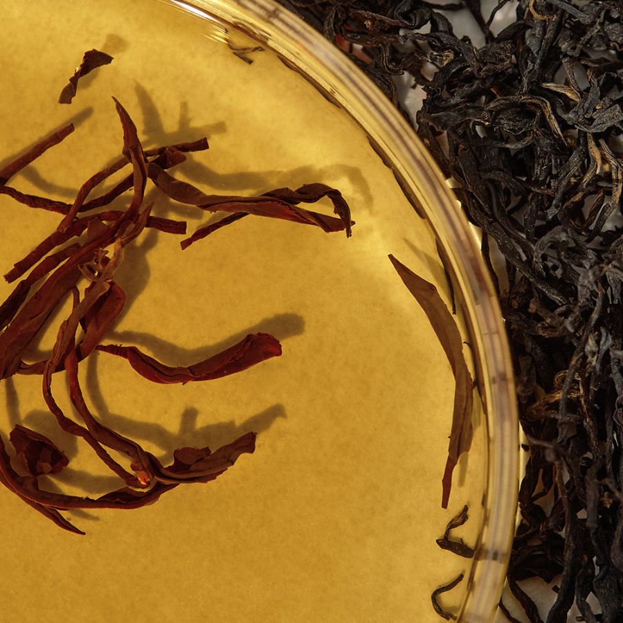 KAINE Kombu Balanserende Ampullestoner pH-balansert Hydrerende 60% kombucha