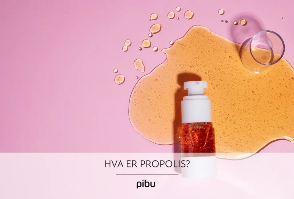 Hva er Propolis